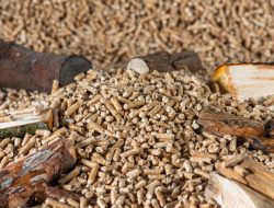 Pertanian: Benteng Energi Berkelanjutan Melalui Biomassa