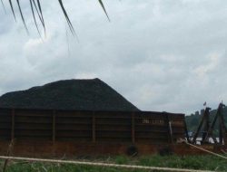 3 Mantan Kadistamben Kukar Terlibat Kasus Tambang Batu Bara di Lahan Transmigrasi