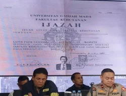 Nasib Kasus Ijazah Palsu S2-S3 Rismon Sianipar, Relawan Jokowi: Penyelidikan Berlanjut