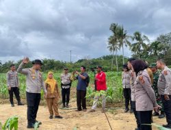 KFA Kota Jambi Siapkan Jambore Dunia dan Program Ketahanan Pangan