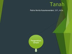 Pandangan: Dinamika Kesuburan Tanah