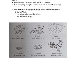 15 Soal Bahasa Indonesia Kelas 1 SD: Mengenal Bunyi Huruf dan Suku Kata