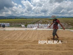 Kementan Jaga Produksi Padi Jabar Hadapi Ancaman Kemarau 2026