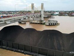 Kenaikan hasil komoditas belum maksimal, Indef dorong pajak progresif