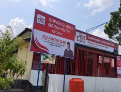 Detail Gaji Manajer Koperasi Merah Putih yang Buka Rekrutmen Jadi Pegawai BUMN