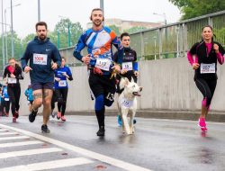 Lari 10K, Apakah Butuh Energy Gel?