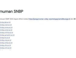 Pengumuman SNBP 2026 Pukul 15.00 WIB, Cek Hasil di Sini dengan Nomor Pendaftaran