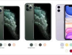 Harga iPhone 11 Second Naik 4 April 2026: Pro dan Pro Max Mulai Rp 7 Jutaan
