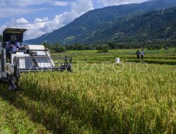 MASJO Harmony Farm, Inovasi Pangan dari Lahan ASN Kementan